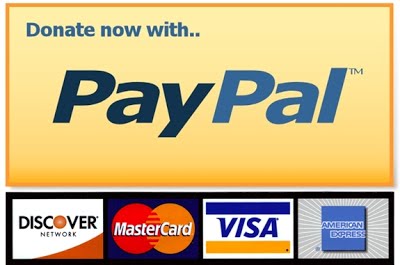 PayPal donate now button